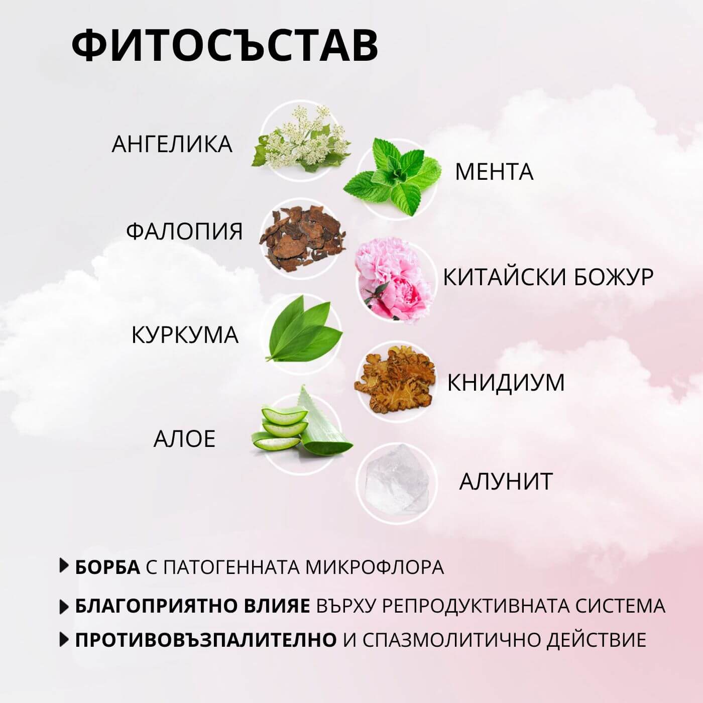 tiande (1081 x 1081 пиксела) (27)