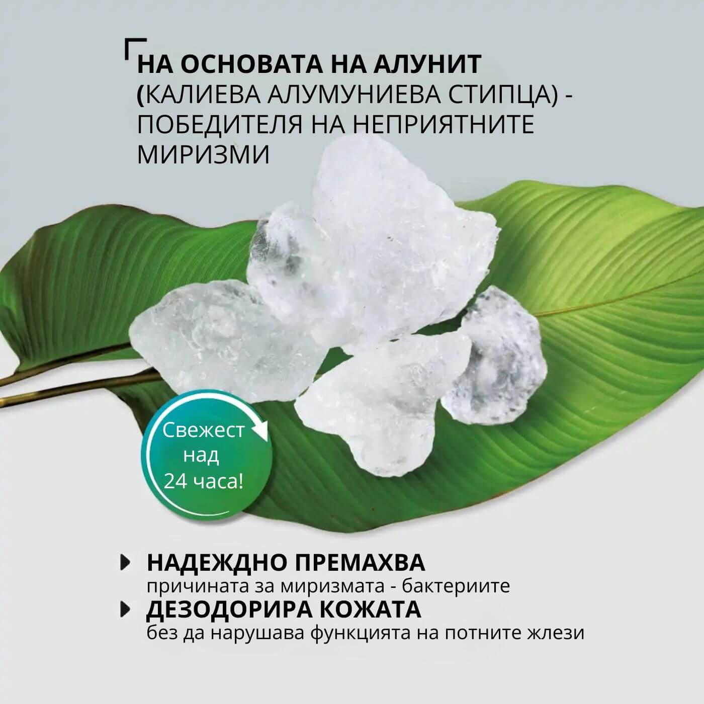 tiande (1081 x 1081 пиксела) (27)